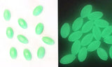 Luminous Glow Beads - M3Tackle 