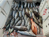 Deep Drop 3.5in Squid Bottom Fishing Rig Glow Tile Rose Snapper Cod Grouper Golden  Halibut