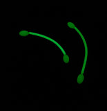 Fishing Line Tube 10 Chafing Line Glow 4 inch Line Protector Ho-Lo Tackle Rubber