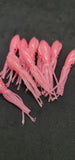 Fishing Lure B2 Stlye Squid Body 2.5" in /6 cm Octopus Soft Glow Fluke Jig 10 Pc